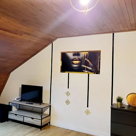 Le Cocon Dore Apartment *