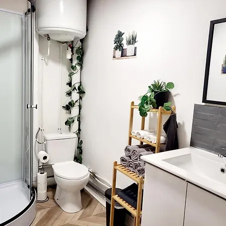 Le Cocon Dore Apartment *